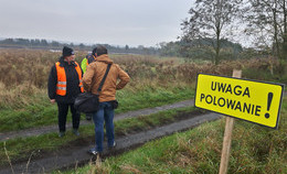 obrazek do Terminy polowań zbiorowych