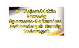obrazek do VI Wojewódzkie Zawody...
