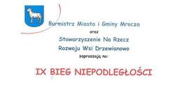 obrazek do IX BIEG NIEPODLEGŁOŚCI