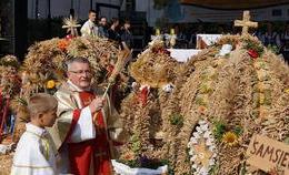 obrazek do Dożynki Gminne 2014