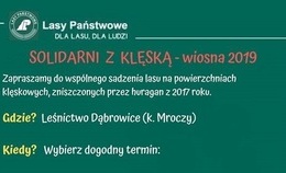 obrazek do Posadź "swój"...
