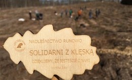 obrazek do Nadleśnictwo Runowo...
