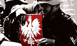 obrazek do Wojewódzkie obchody...