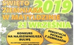 obrazek do Święto Ziemniaka w...