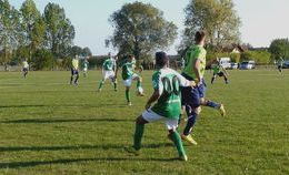 obrazek do Tartak Wudzyn - Tarpan...