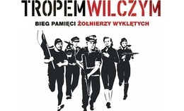obrazek do Bieg Tropem Wilczym