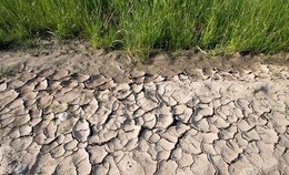 obrazek do Uwaga - susza hydrologiczna