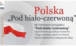 obrazek do Projekt "Pod biało-czerwoną"...