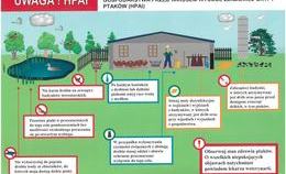 obrazek do Apel do hodowców ptactwa