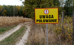 obrazek do Informacja Zarządu...