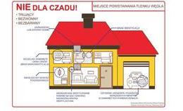 obrazek do NIE DLA CZADU!