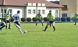 obrazek do MGLKS Tarpan Mrocza...