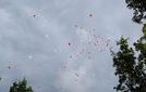 DSC08400.JPG